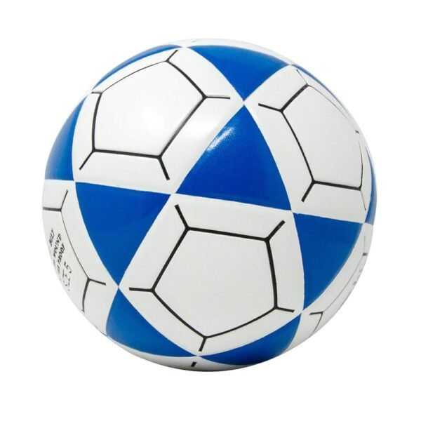 61ZX+A2AHFL._UF1000,1000_QL80_ Mikasa FT5A Goal Master